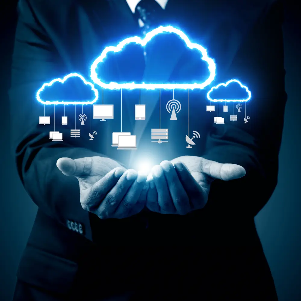 Single-Multi Tenant 2 Single or Multi Tenant