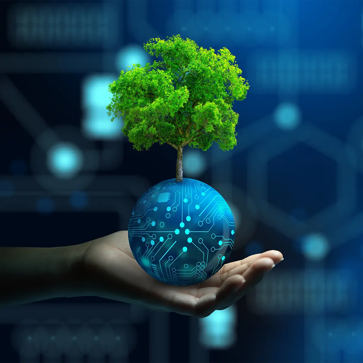 Sobriété numérique Sobriété numérique